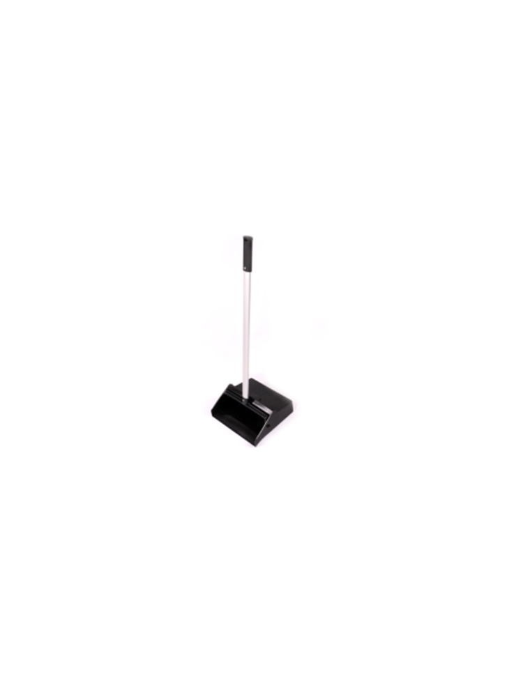 Outside dustpan with long handle JOBBY